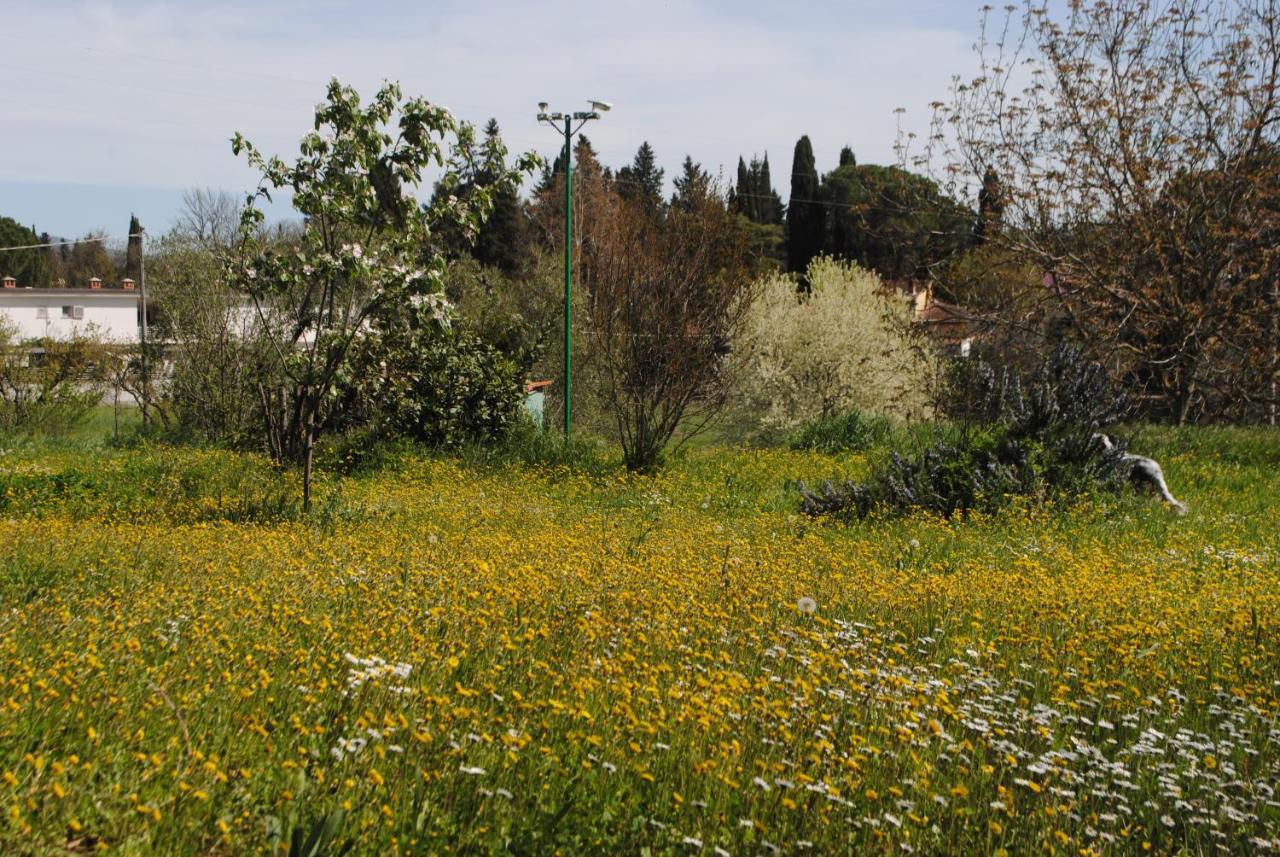 Agriturismo Fattoria Di Malavolta ฟลอเรนซ์ ภายนอก รูปภาพ