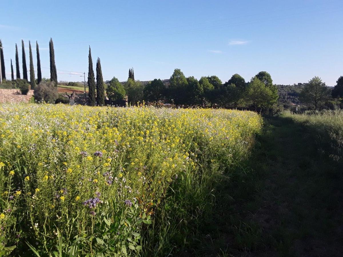 Agriturismo Fattoria Di Malavolta ฟลอเรนซ์ ภายนอก รูปภาพ